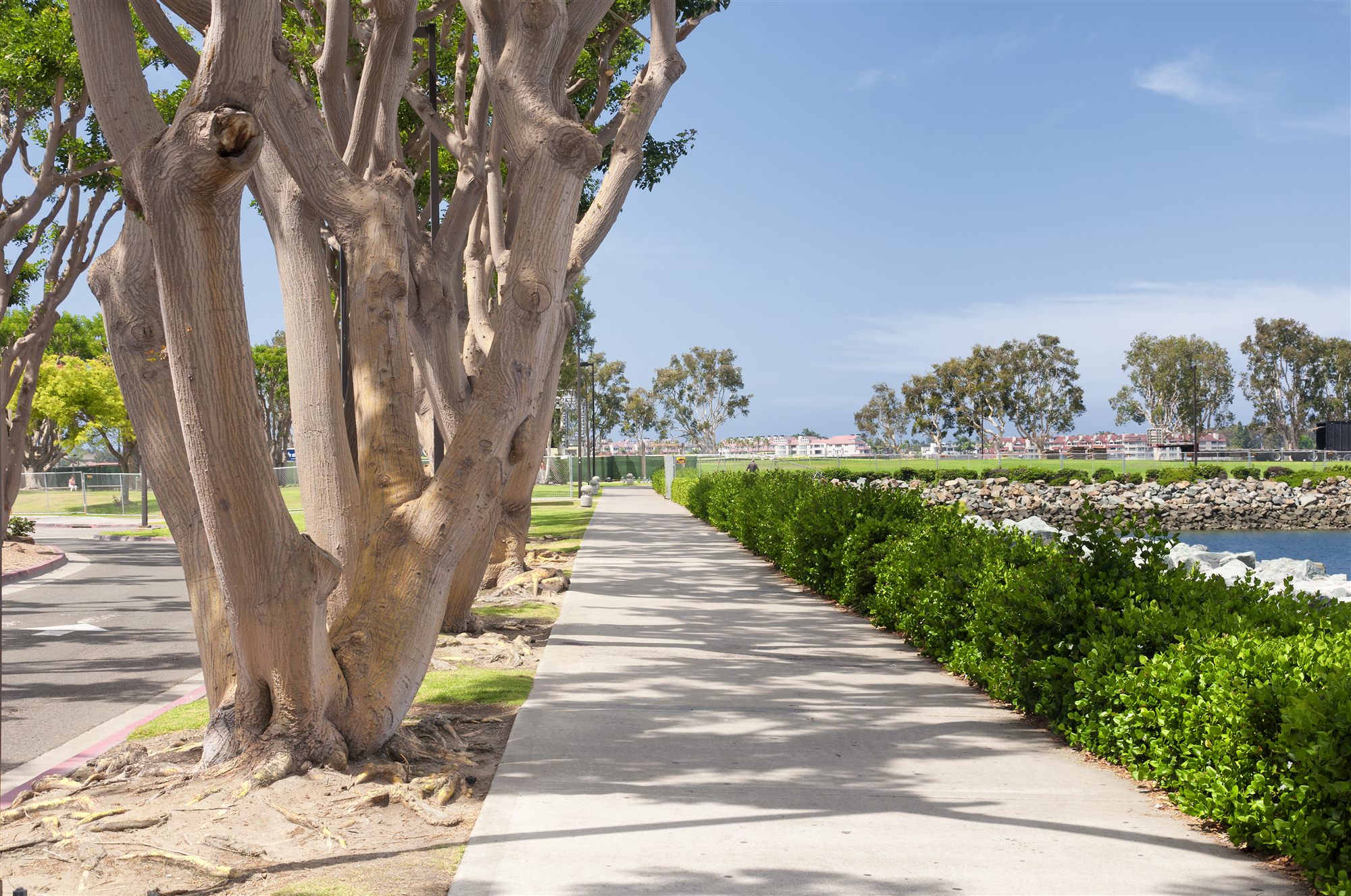Coastal San Diego neighborhood path